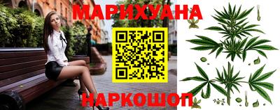 spice Камышлов