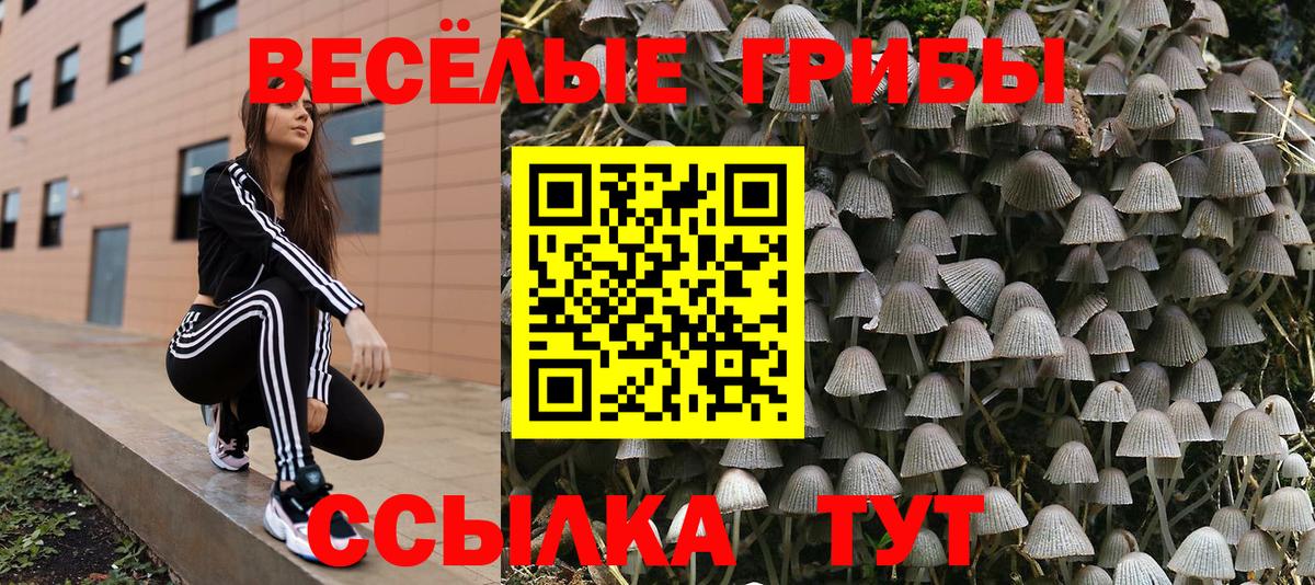 Псилоцибиновые грибы ЛСД  Галлюциногенные грибы мицелий  Крымск  Вход с VPN 
