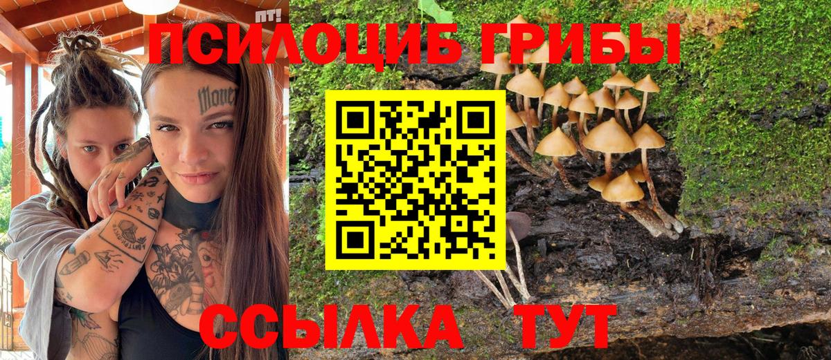 Галлюциногенные грибы Magic Shrooms Крымск